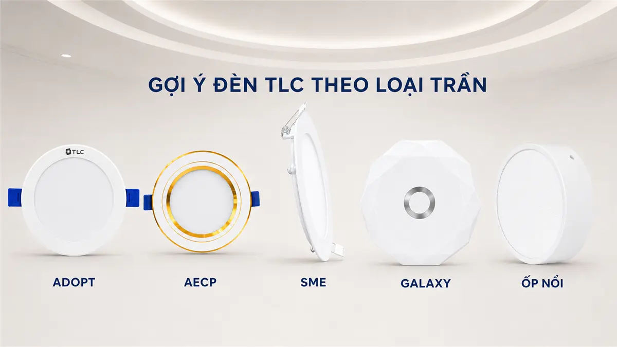 goi-y-den-tlc-theo-loai-tran