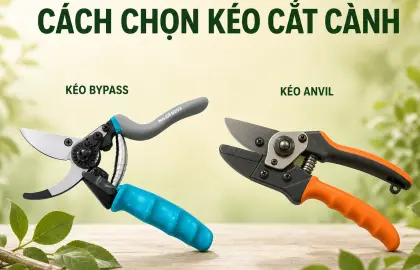 Cách chọn kéo cắt cành theo kích thước và loại cây