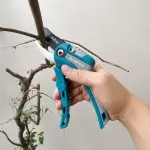 Kéo Cắt Tỉa Cành Mỏ Quạ JCTOP GF6201 Lưỡi SK5 Phủ Chống Dính