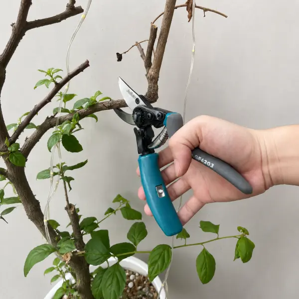 Kéo Cắt Cành JCTOP GF6201/GF6202/GF6203 SK5